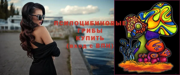 стаф Навашино
