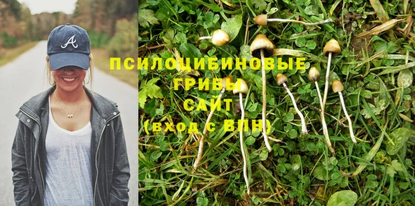 прущие крисы Бронницы