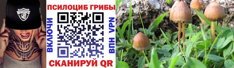Псилоцибиновые грибы прущие грибы  Бузулук 