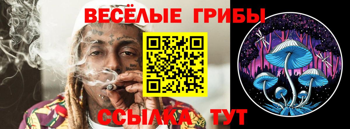 Бузулук  Галлюциногенные грибы Psilocybine cubensis  Галлюциногенные грибы мицелий  Вход с VPN 